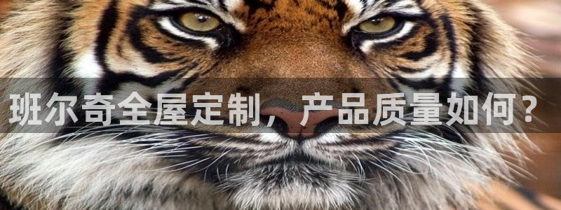 网上bb电子为什么那么假
