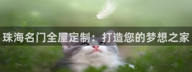 bb电子怎么英语怎么说
