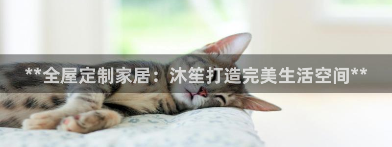xbb电子游艺