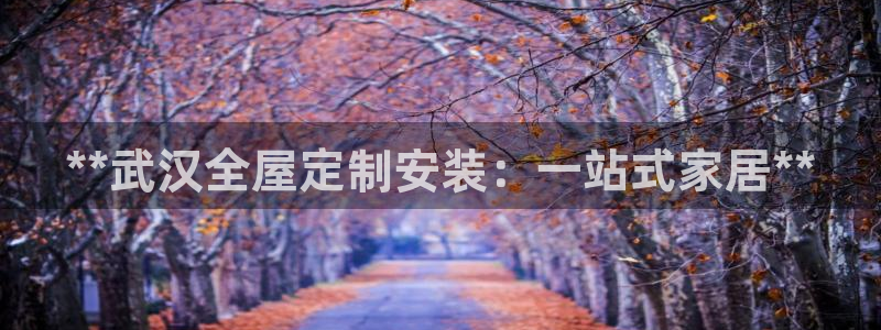 BB电子哪个平台好出款