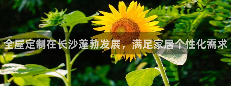 BB电子怪物派对