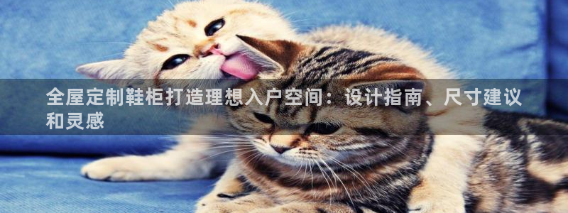 bb电子哪个平台好出款啊