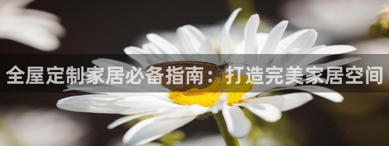 BB电子骗局