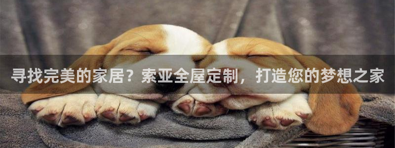 bb电子怎么英语怎么说