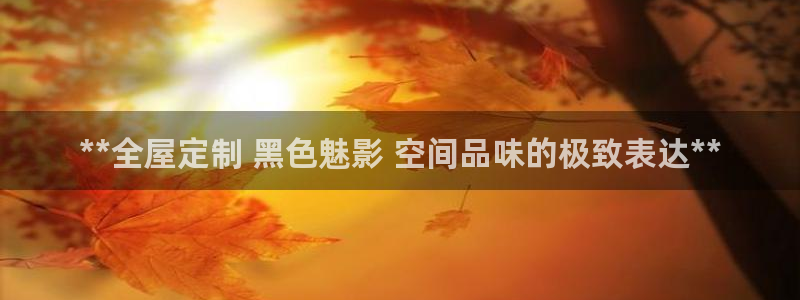 bb电子怎么英语怎么说