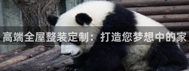 BB电子骗局