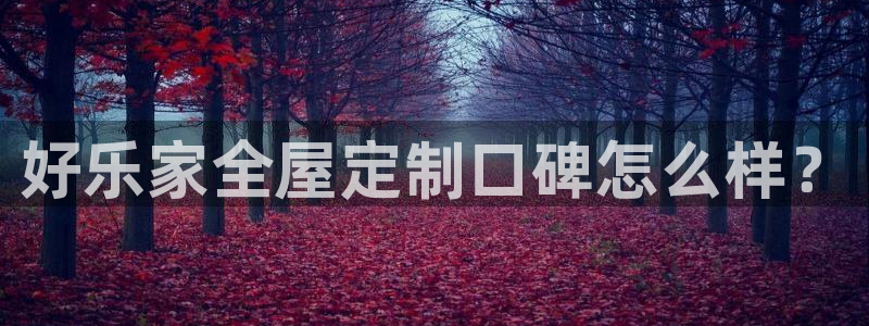 bB电子琴和弦