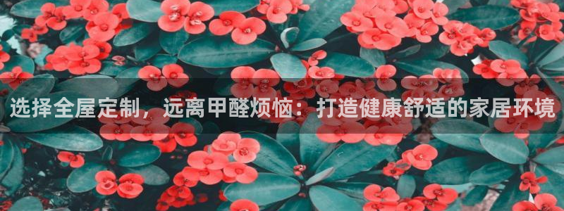 bb电子哪个平台好用点