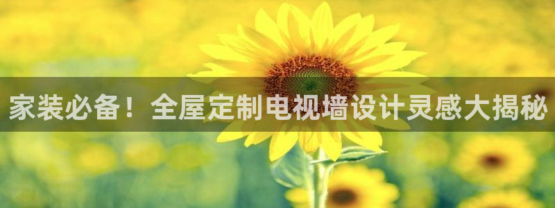 BB电子麻将胡了